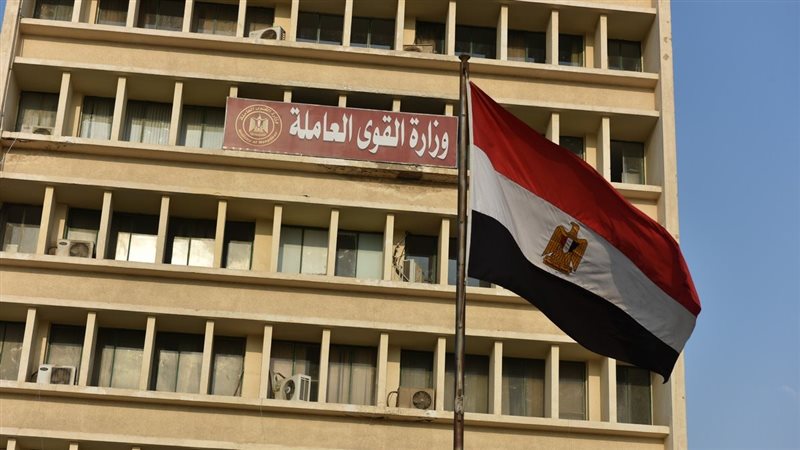 وزارة القوى العاملة،