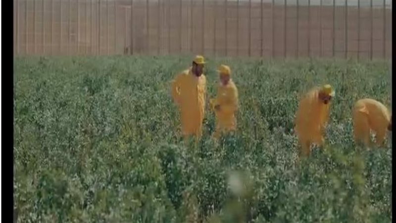 مشروعات مراكز الإصلاح