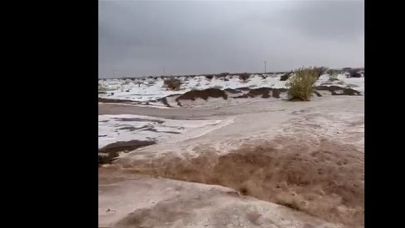 السيول، فيتو