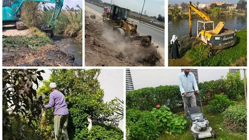 مبادرة 100 مليون
