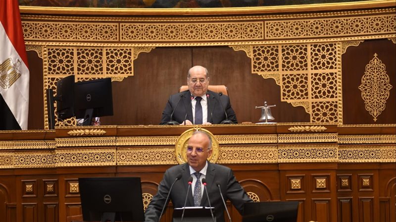وزير الري أمام جلسة