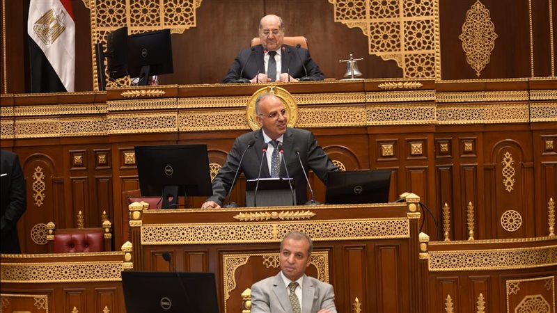 وزير الري أمام جلسة