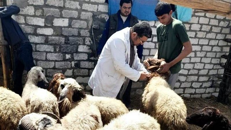  حملة التطعيم ضد