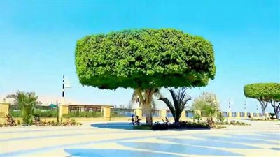 تعرف على أشهر أكلات وعادات شم النسيم بمحافظة الأقصر