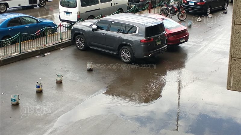 حالة الطقس غدا، فيتو