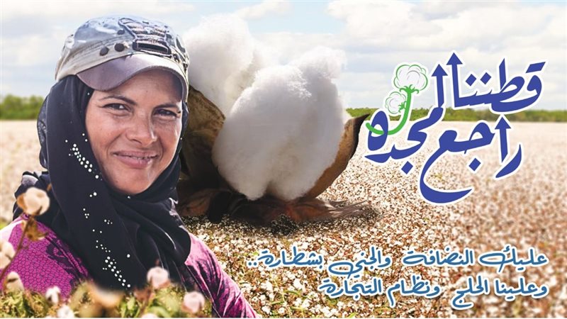 منظومة تداول القطن