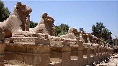 الأقصر تستعد لافتتاح طريق الكباش في احتفال عالمي.. وطقوس الأوبت الفرعونية “أبرز الفعاليات” 