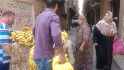 حملة لإزالة الإشغالات من شارع الزهور بالحضرة الجديدة في الإسكندرية
