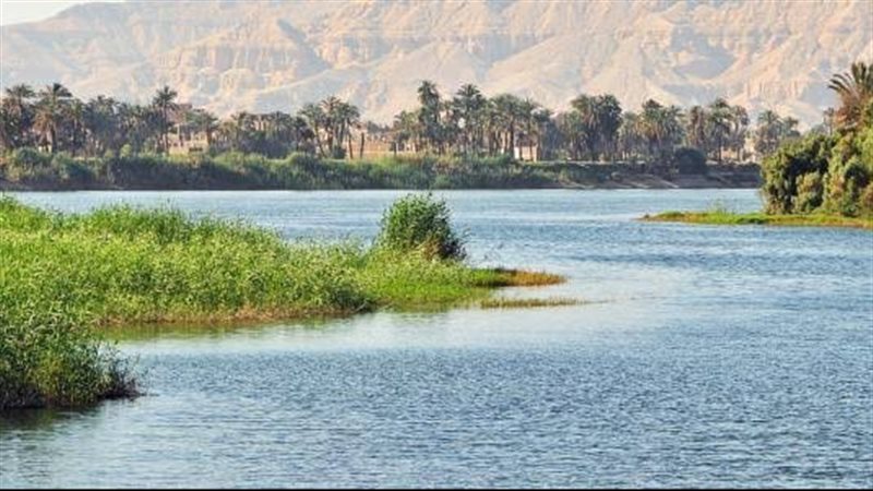 إرتفاع معدلات سقوط