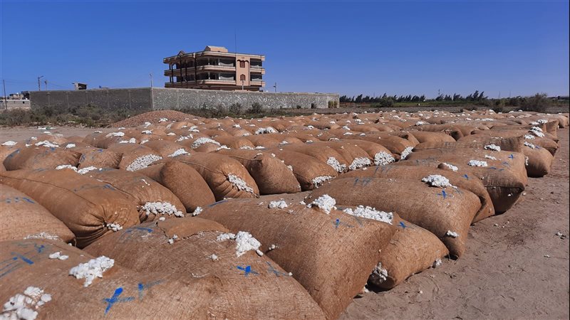 مركز تجميع الأقطان