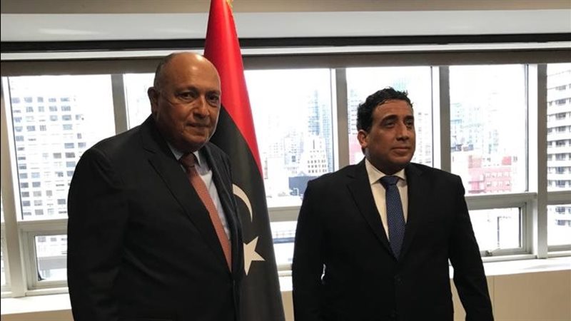 سامح شكري ومحمد المنفي