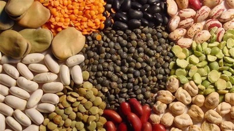  أسعار البقوليات