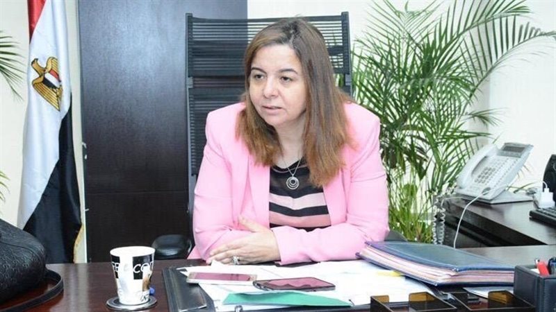 رئيس صندوق الإسكان