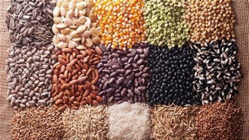 أسعار البقوليات اليوم