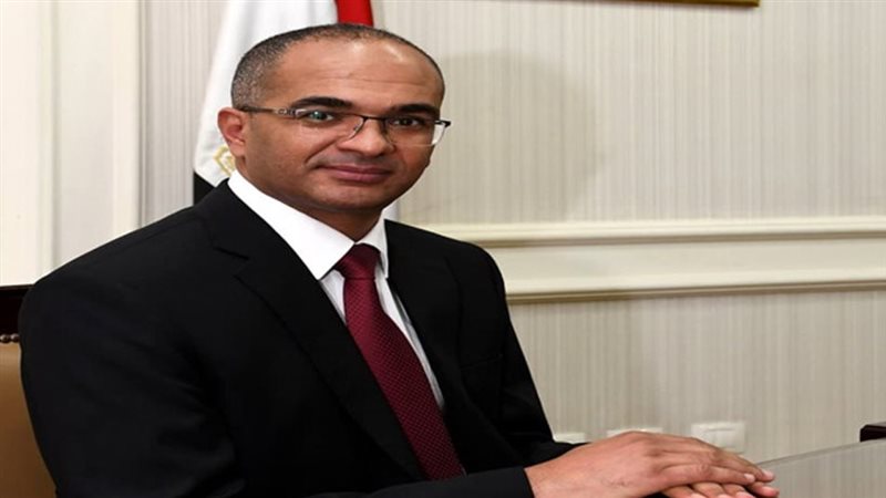 د. سيد إسماعيل نائب