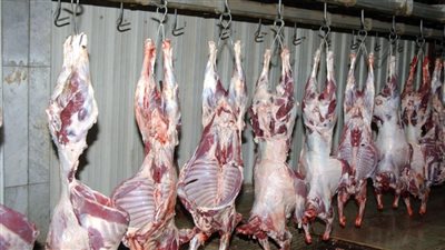أسعار اللحوم اليوم الاثنين 18-4-2022 في قنا
