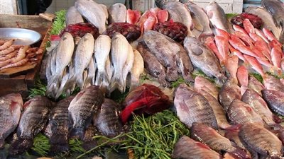 أسعار الأسماك اليوم السبت 26-3-2022 في مصر