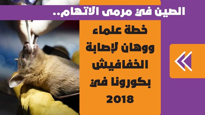 كورونا