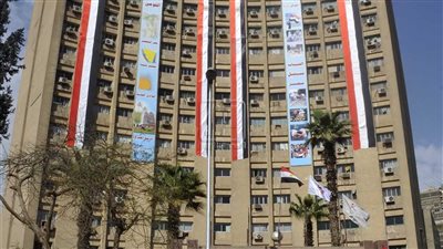 الشباب والرياضة تنظم اللقاء الرياضي لبارالمبياد الجامعات المصرية بالإسكندرية