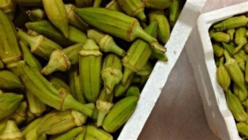 تفسير رؤية البامية