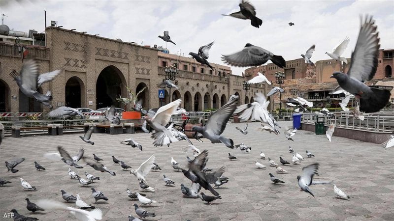 مدينة أربيل شمالي