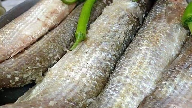 أسعار الفسيخ المصري