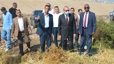 محافظة القليوبية: إجمالي المساحة المنزرعة بالقمح 40841 فدانا 