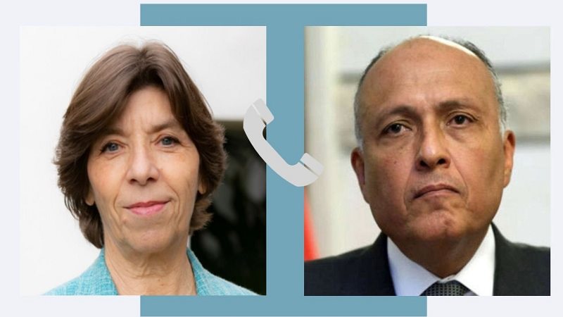 سامح شكري ونظيرته