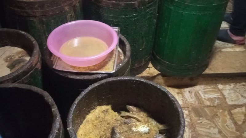 اخبار الاسكندرية