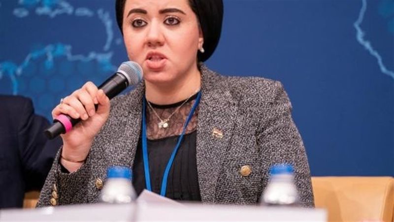 النائبة أميرة صابر،