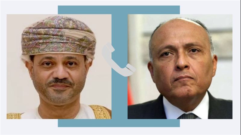 سامح شكرى وزير الخارجية