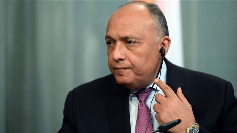 سامح شكري، فيتو