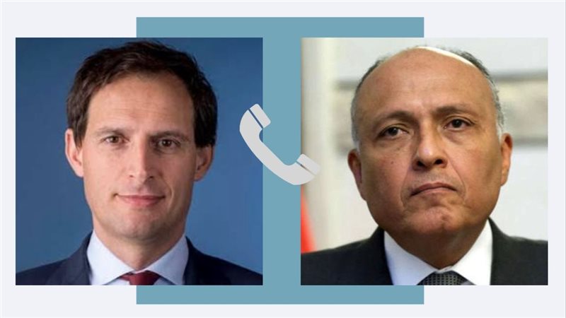 سامح شكرى وزير الخارجية