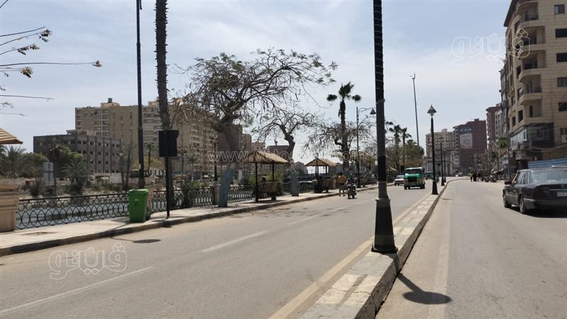 شوارع شبين الكوم،