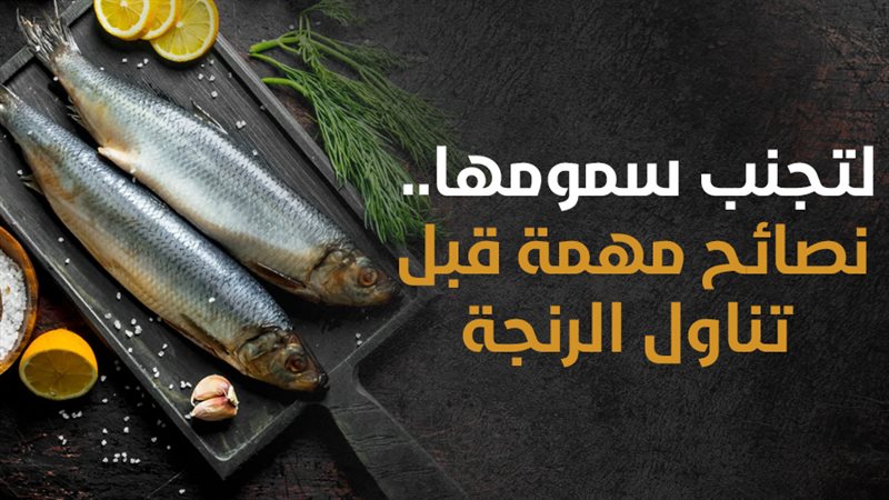 نصائح لتناول الرنجة،فيتو