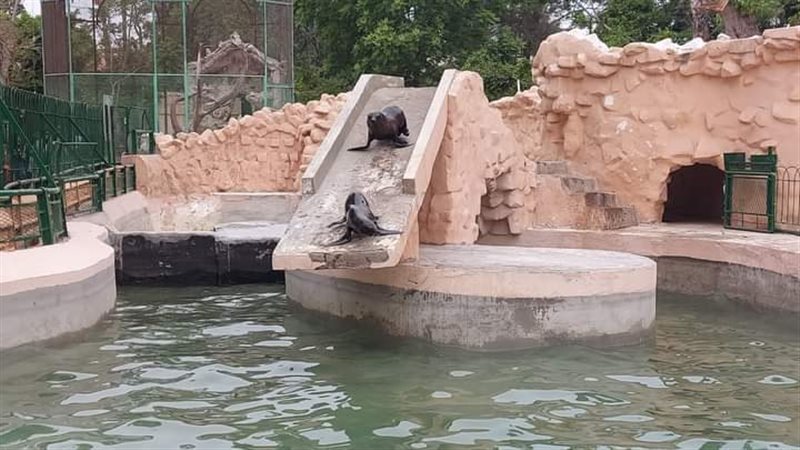 حديقة الحيوان في