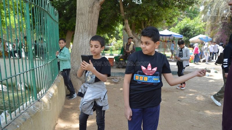 طفل يقوم بإطعام بجعة،فيتو