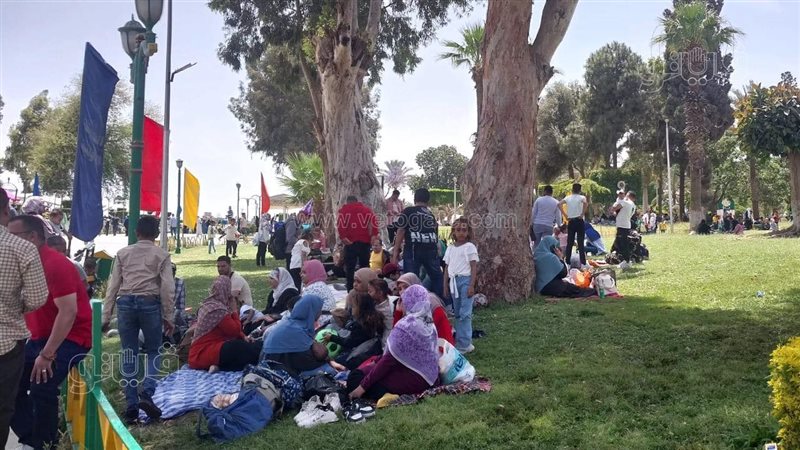 الحديقة الدولية،