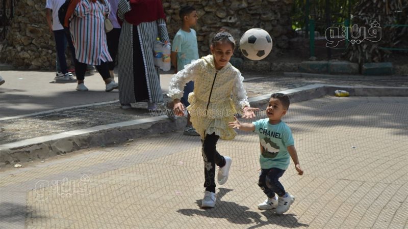 اللعب بالكرة في حديقة