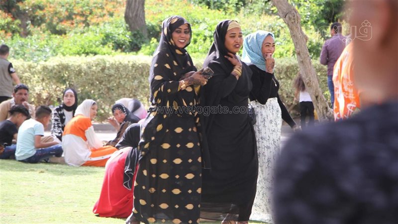 حديقة الأزهر، فيتو