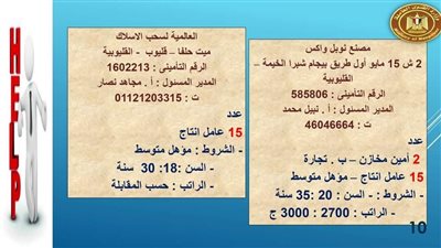 وظائف جديدة بالقليوبية بمرتبات تبدأ من 2700 جنيه