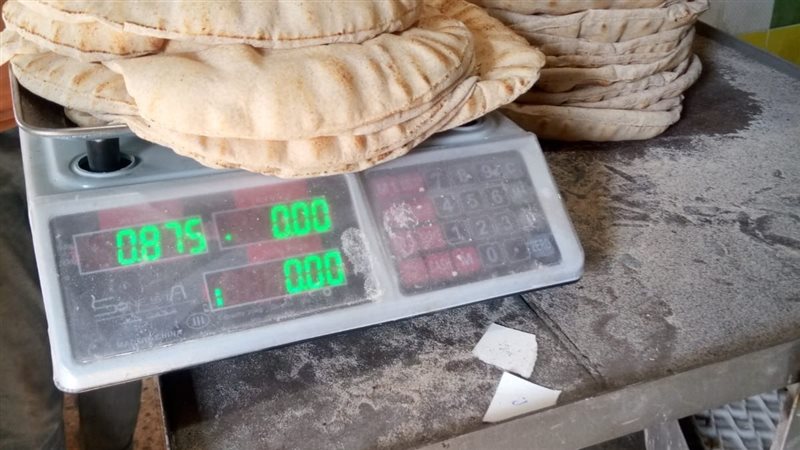 تموين الاسكندريه،
