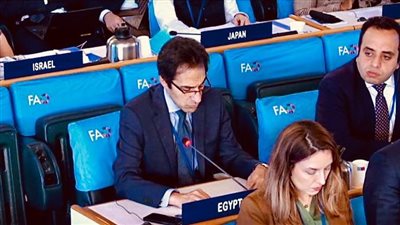 السفير بسام راضي يحذر أمام مؤتمر روما الدولى من خطورة سد النهضة