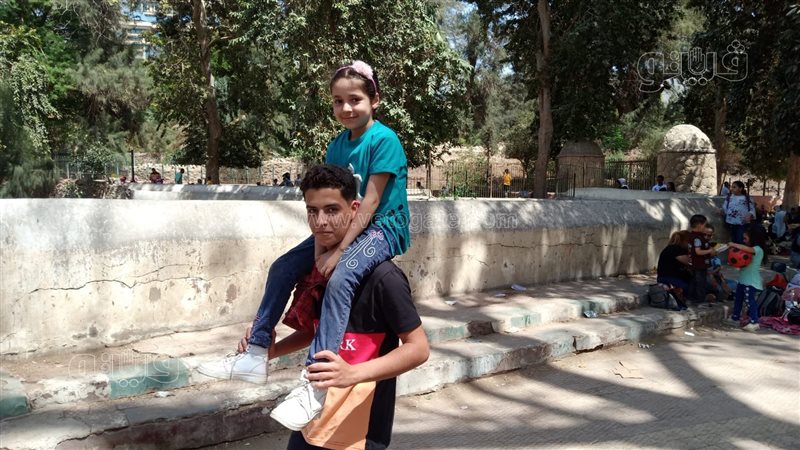 حديقة الحيوان، فيتو