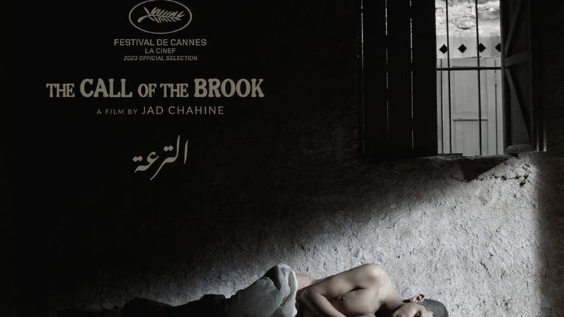 فيلم الترعة، فيتو