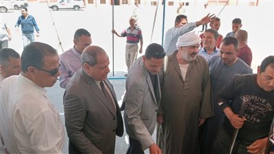 التموين: استلام 15 ألف طن قمح محلي من مزارعي المنيا 