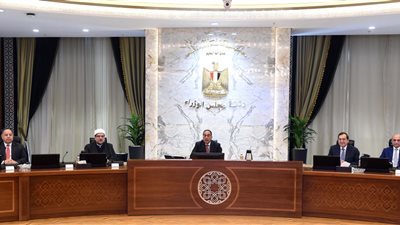 مدبولي: مؤسسات الدولة المصرية تحركت منذ اليوم الأول للأزمة بالسودان