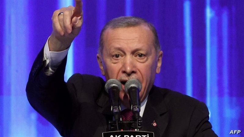 أردوغان، فيتو 