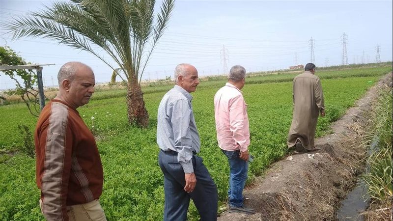 لجنة من قيادات الزراعة