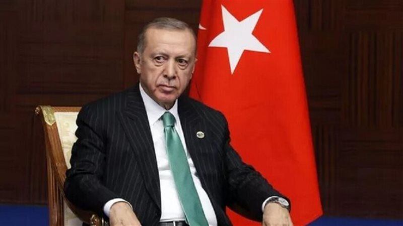 أردوغان، فيتو 